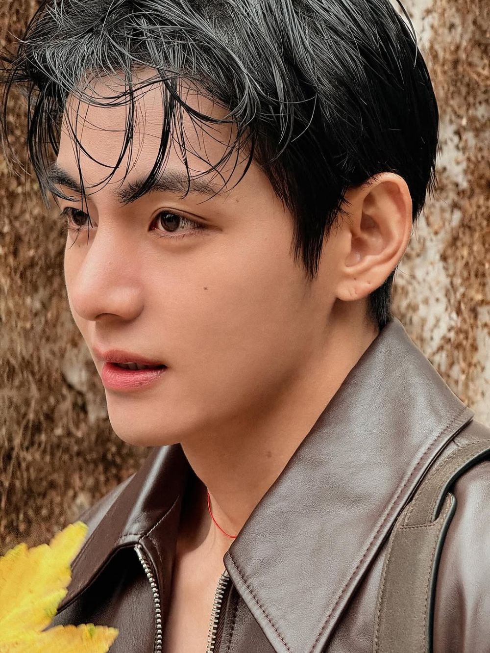 BTS’s V captivates fans in his stunning new Celine Fall photoshoot