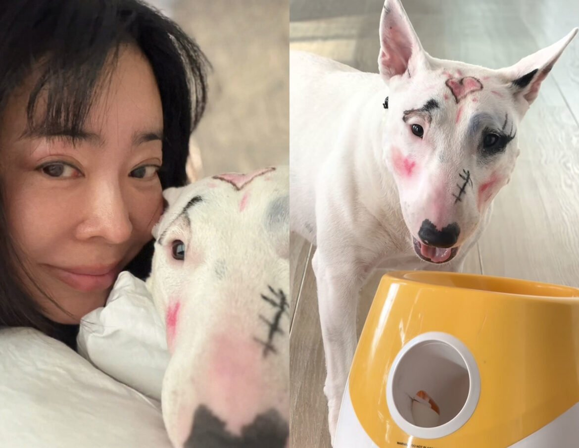 Lee Hye Young Under Fire Over Dog Makeup Controversy