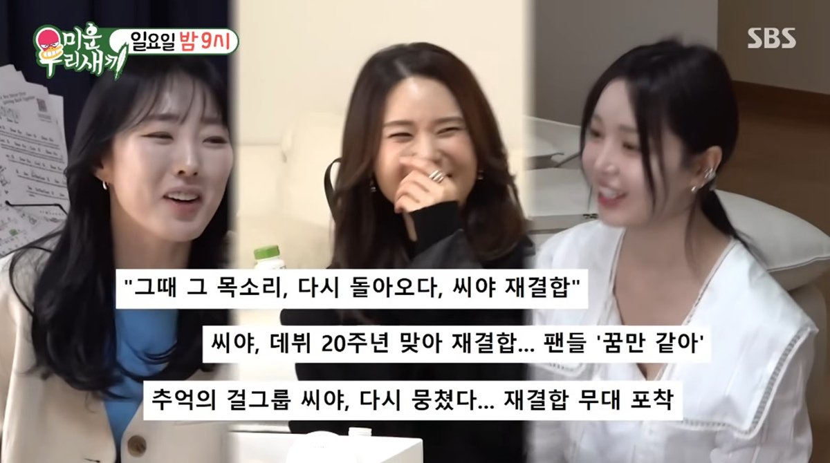 Nam Gyu Ri Stuns With Ageless Beauty & SeeYa Reunion