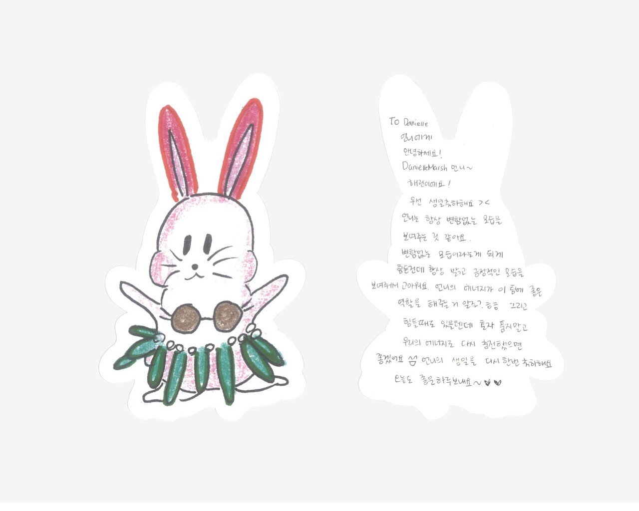 Danielle Celebrates Birthday Amid $28M ADOR Lawsuit