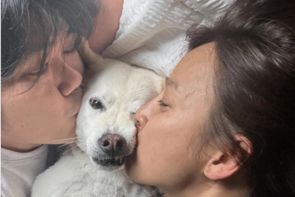 IU Shuts Down Lee Hyori Feud Rumors on Lee Sang Soon Radio