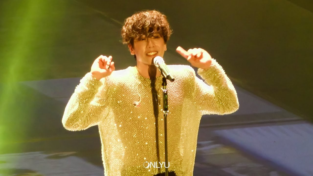 Park Hyo Shin Concert Sparks Mixed Fan Reactions